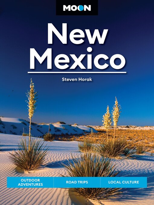 Cover image for Moon New Mexico